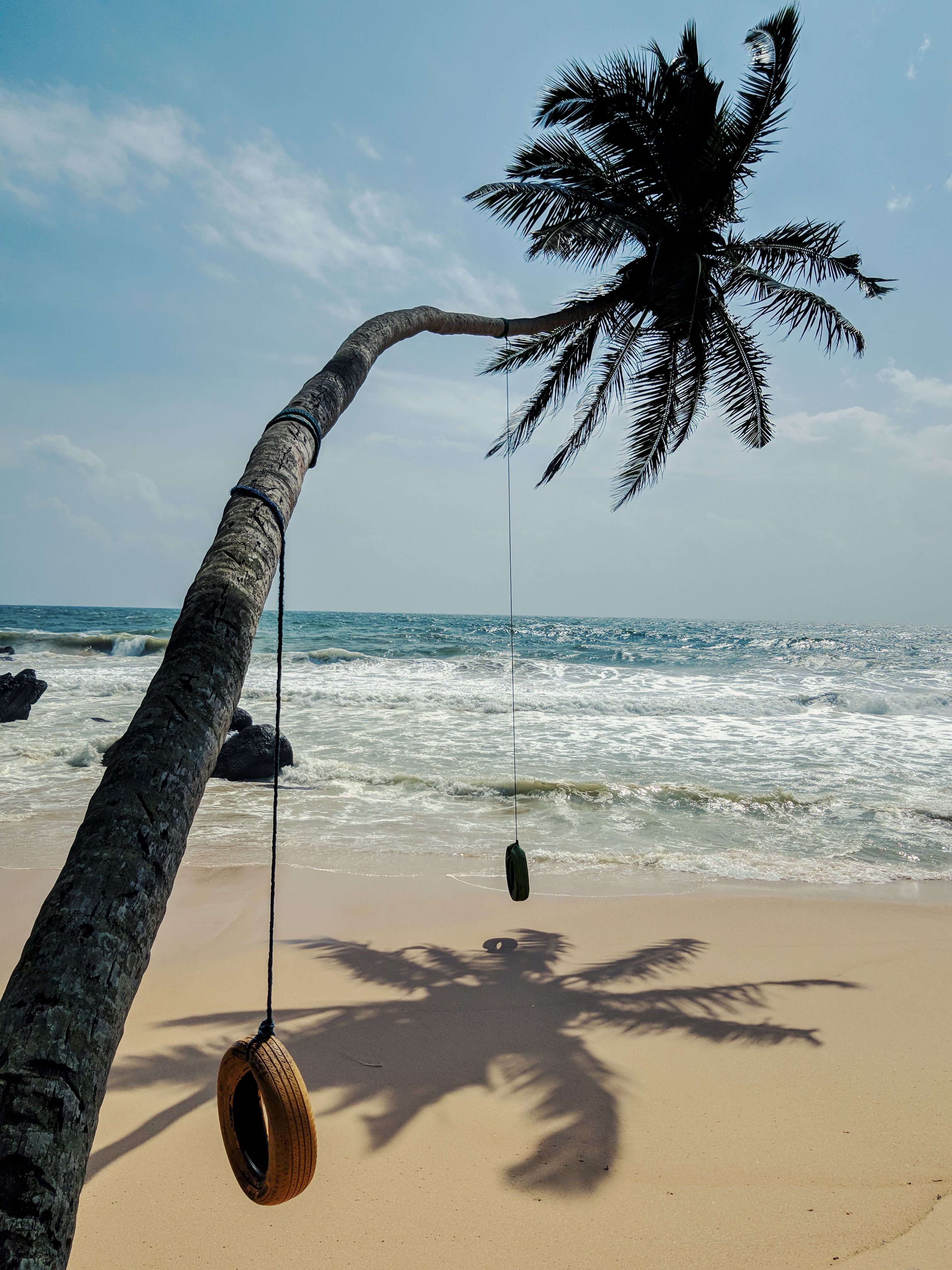 A tyre swing hanging from a leaning palm on a southern beach