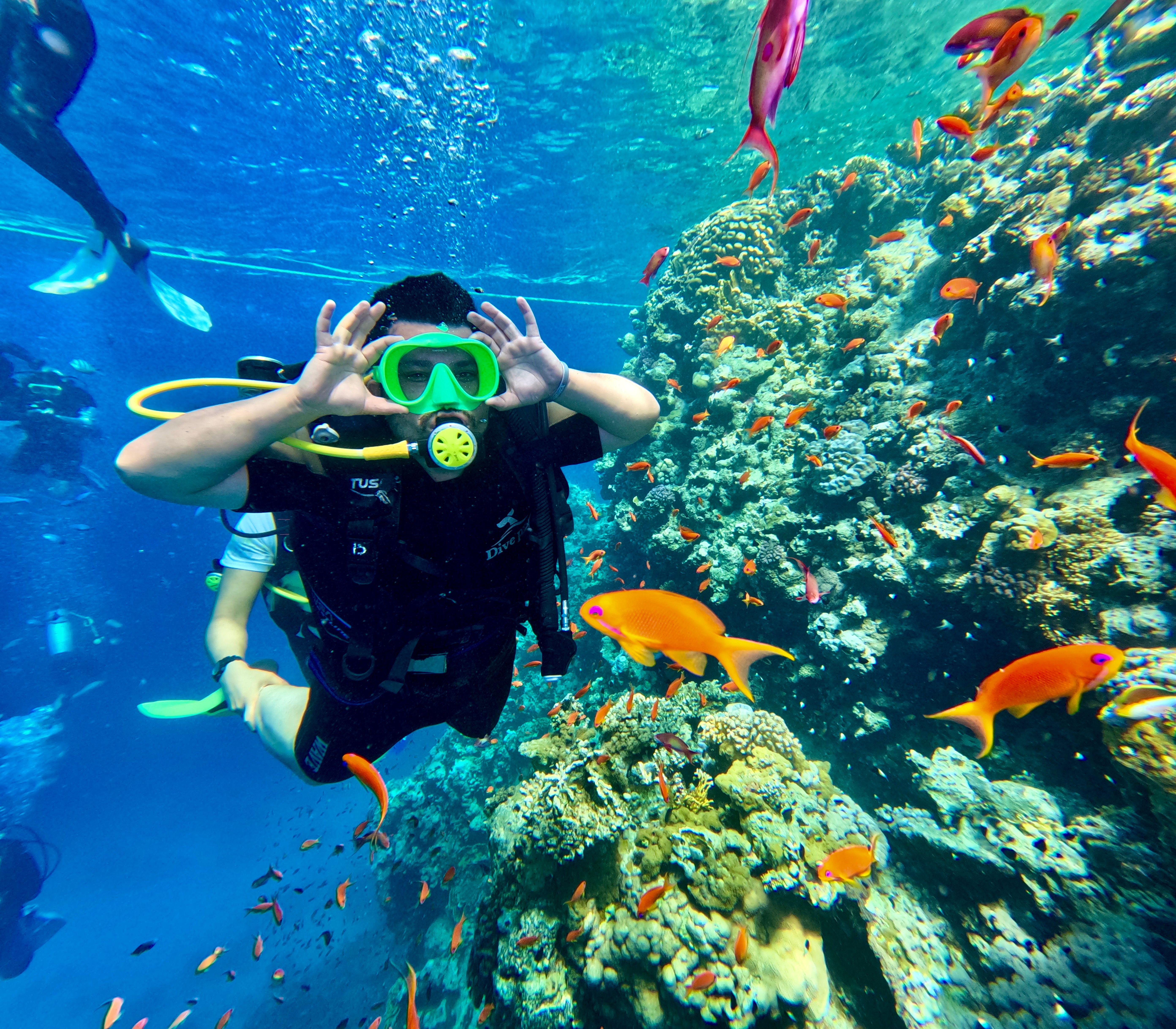 Scuba diver among tropical reef fish